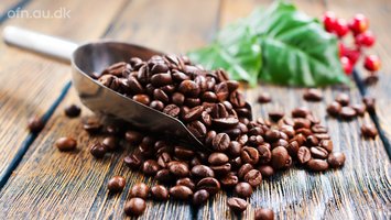 Kaffe - Livestreaming fra Aarhus Universitet