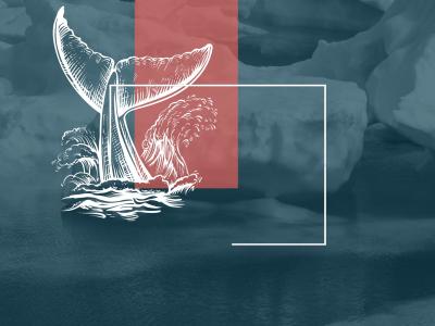 Hvalhale stikker op af vand