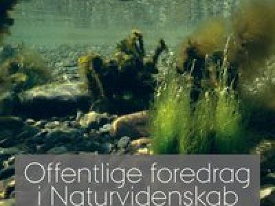 Havbund