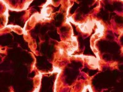 tarmmikrobiom